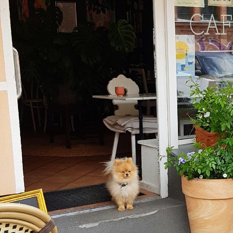 Restaurant "Café Wunder" in Berlin