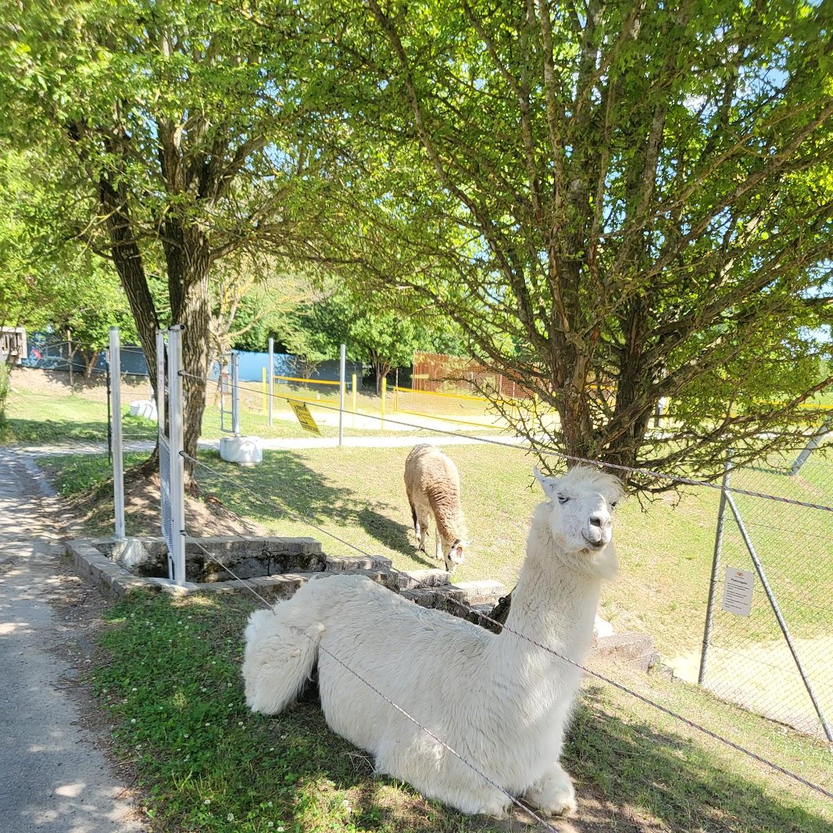Restaurant "Alpaka Beach" in Alling