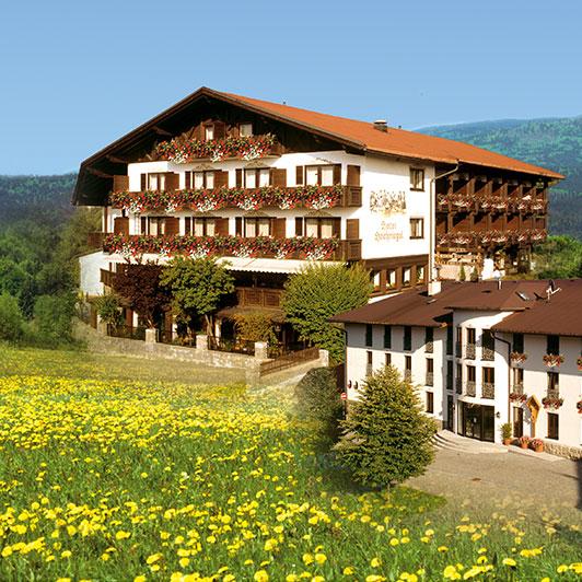Restaurant "Hotel & Residence Hochriegel" in Spiegelau