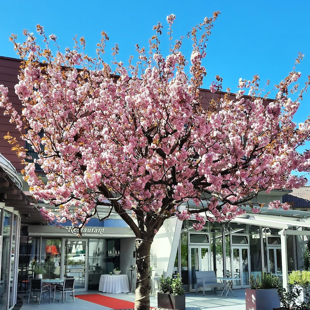 Restaurant "Hotel und Restaurant Fuchsen KG" in Kirchheim unter Teck
