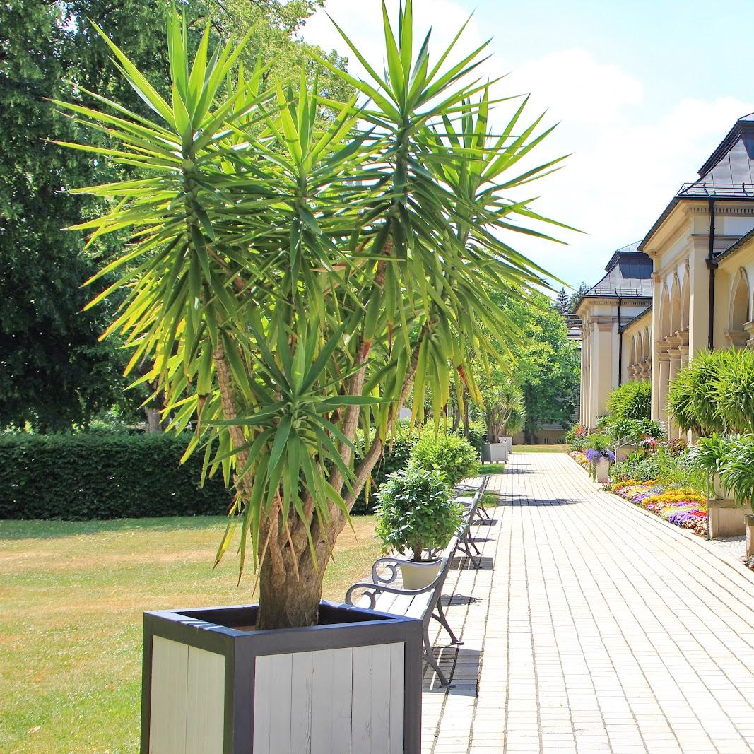 Restaurant "relexa hotel" in Bad Steben