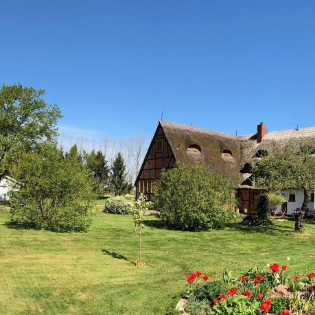 Restaurant "Pension »Landgasthaus - Die Insel auf Rügen«" in Rambin
