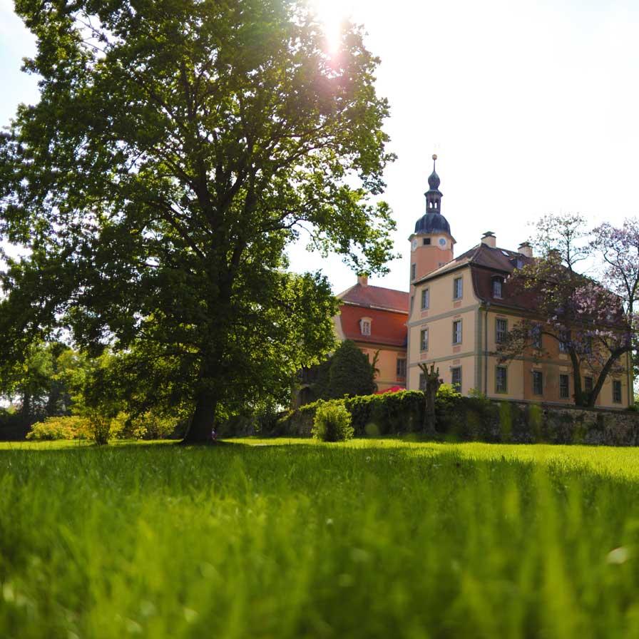 Restaurant "Schloss" in Machern