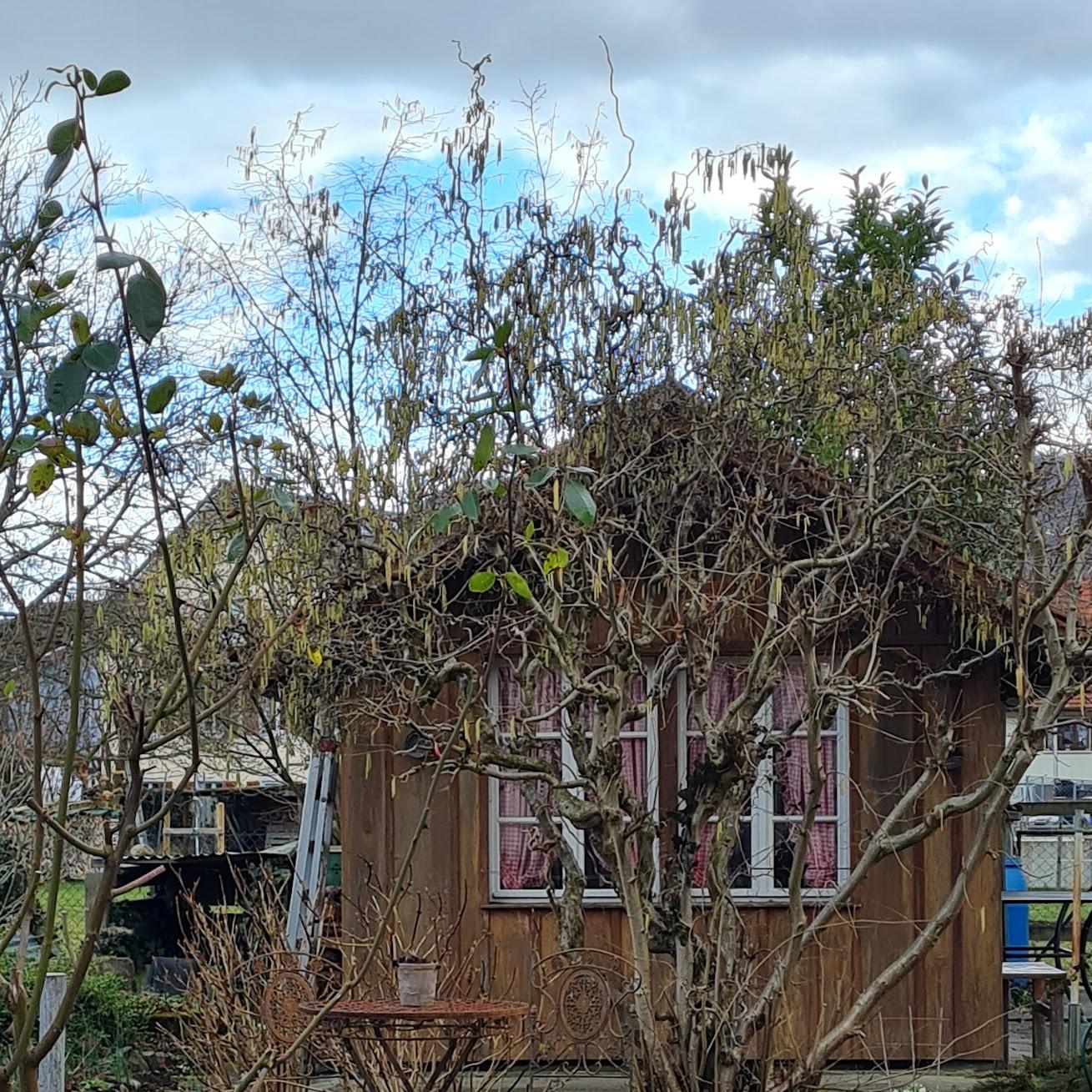 Restaurant "Gasthof Fabriggli" in Wallbach