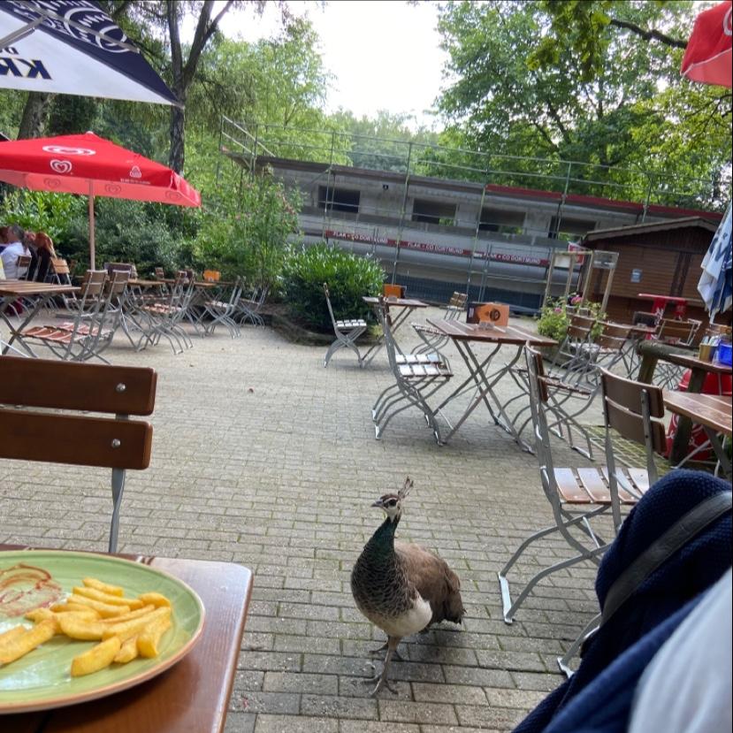 Restaurant "PEACOCK - Indian Streetfood im Zoo" in Dortmund
