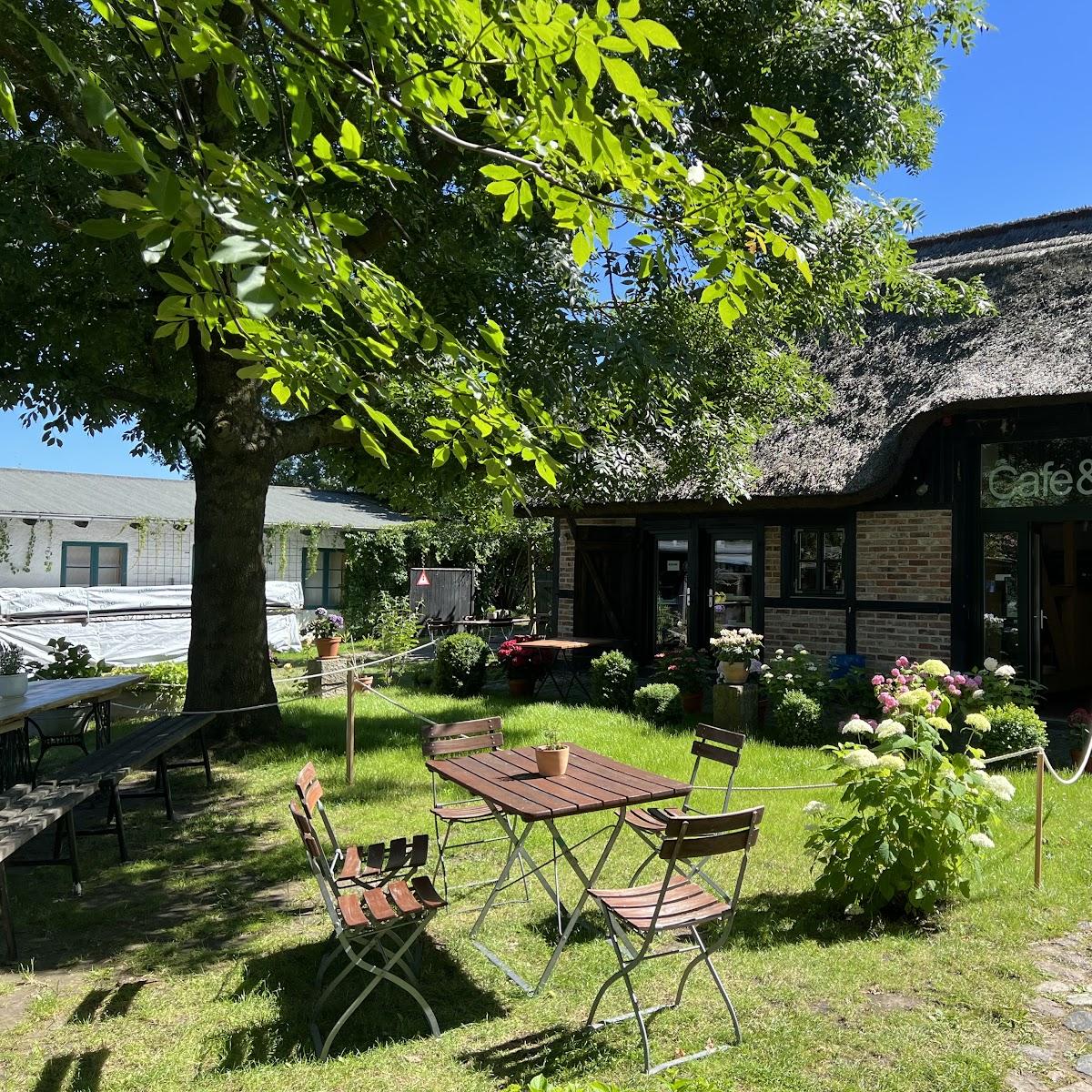 Restaurant "Museumscafé - Hofladen & Antiquariat" in Gingst