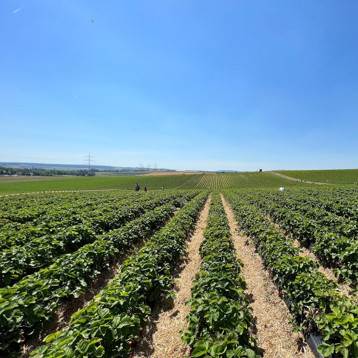 Restaurant "Wetterauer Früchtchen" in Münzenberg