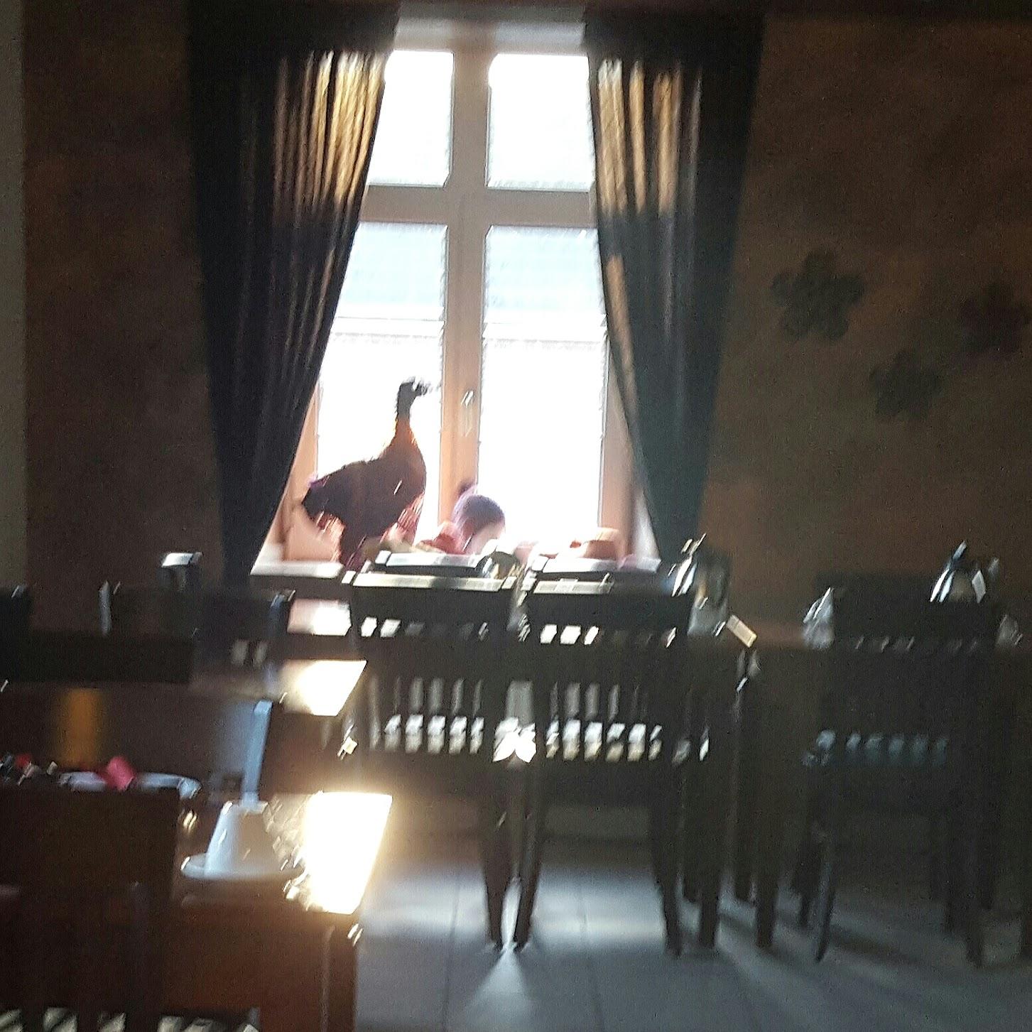 Restaurant "Altes Rathaus" in Gangelt