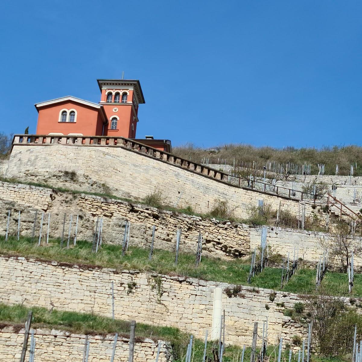 Restaurant "WeinGalerie im Schweigenberg" in Freyburg (Unstrut)