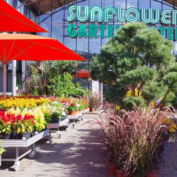Restaurant "Sunflower Garten-Center" in Frankfurt am Main