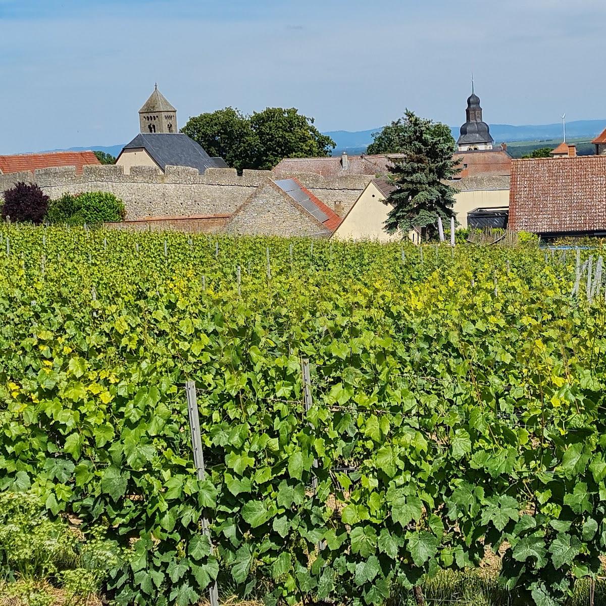 Restaurant "Gästehaus Krause" in Flörsheim-Dalsheim