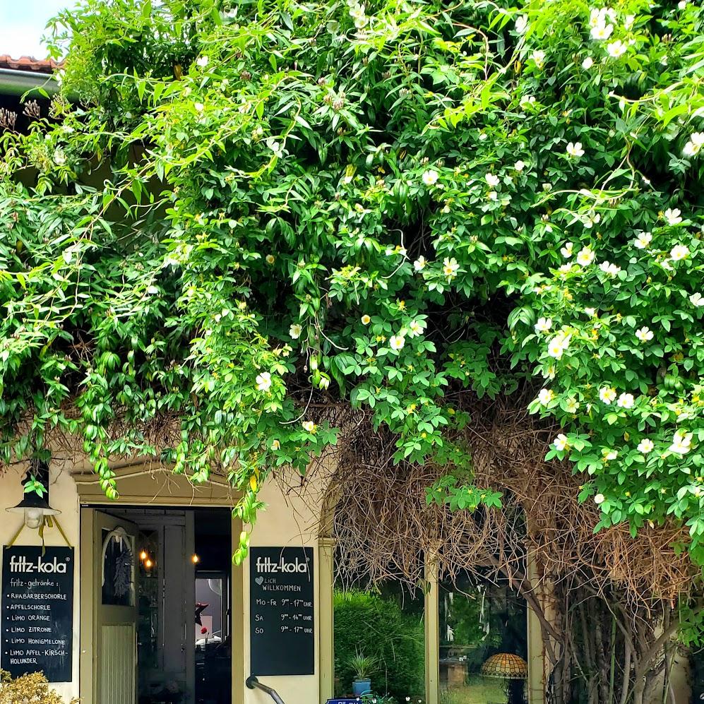 Restaurant "Café-Bistro Panaché" in Einbeck