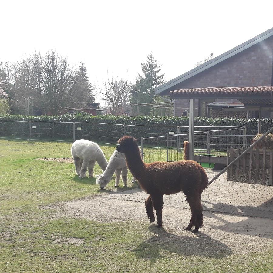 Restaurant "Bahlburger Dörphus Restaurant" in  (Luhe)