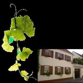 Restaurant "Weingut - Gutsausschank Quink-Klein" in Hochheim am Main