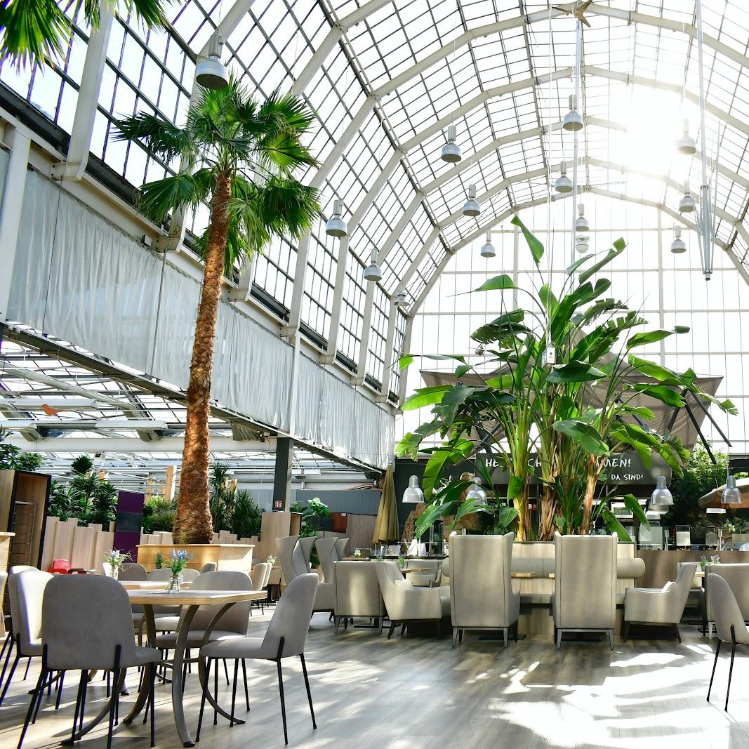 Restaurant "Dinger’s Palmencafé" in Köln