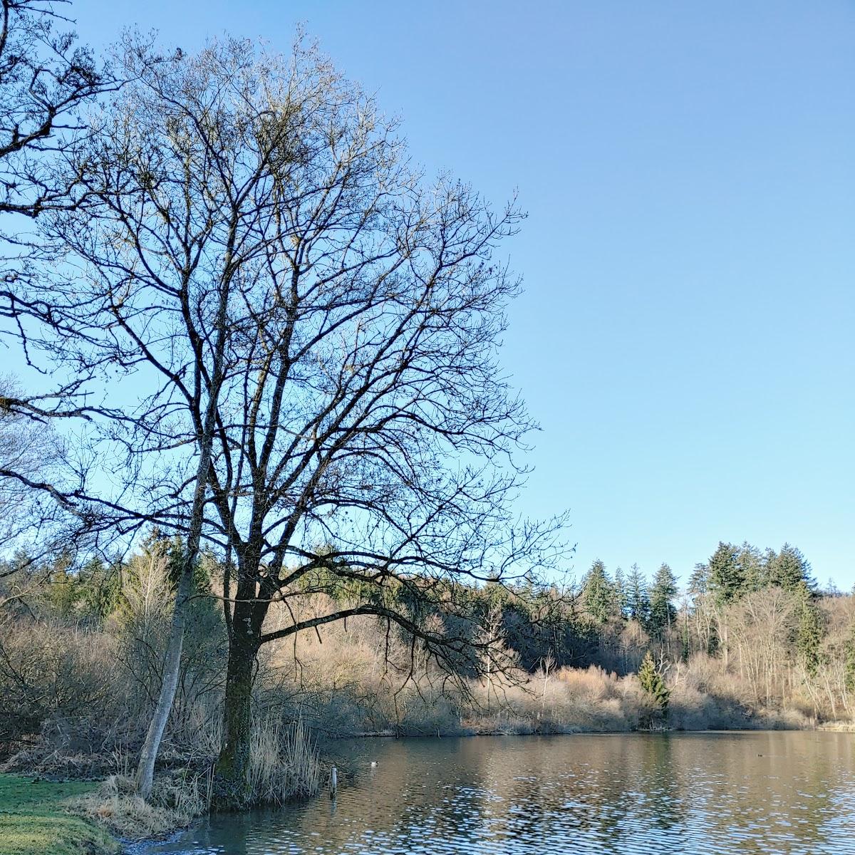 Restaurant "Buchenseebad" in Radolfzell am Bodensee