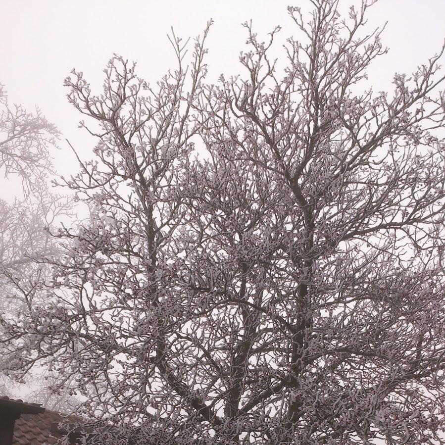Restaurant "Metzgerei Schwenkedel und Gasthaus zum Engel , Inh. Karl-Heinz Mutschler e. K." in Römerstein