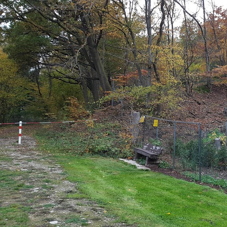 Restaurant "BSG  Schützenhaus" in  Lenne