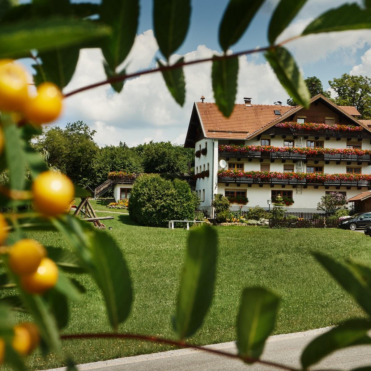 Restaurant "Landgasthof Ayrhof" in Kollnburg