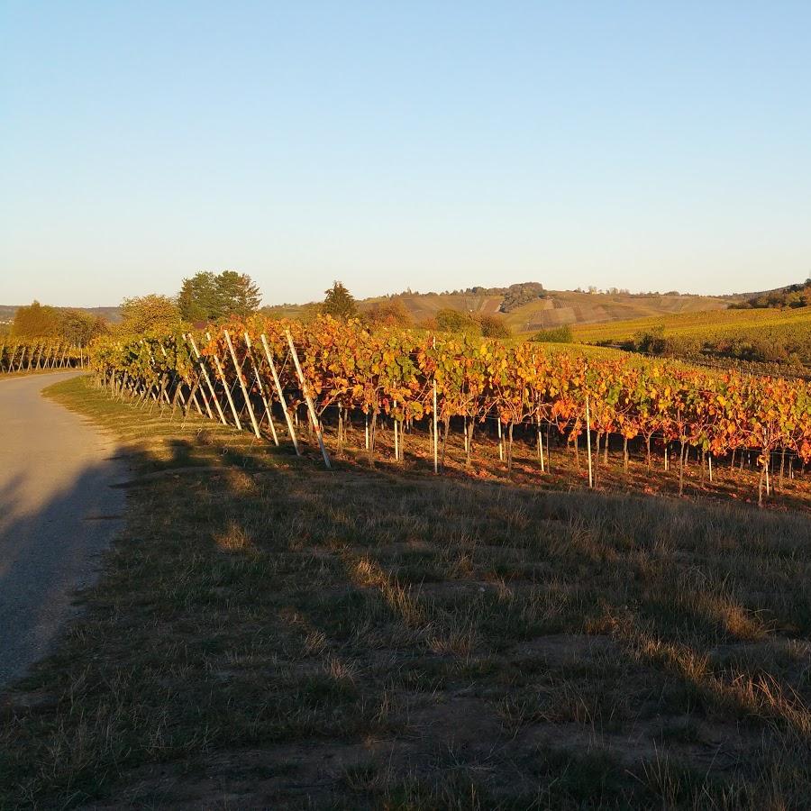 Restaurant "Kuhnle - Neue Scheuer" in Weinstadt
