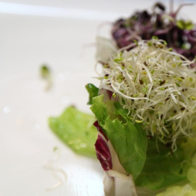 Restaurant "Filou" in Köthen (Anhalt)