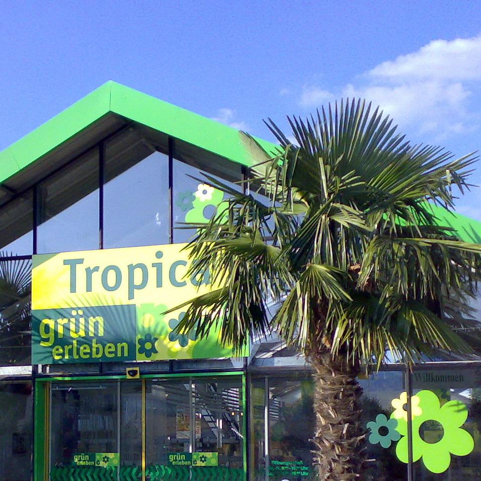 Restaurant "CAFé · TROPICA · BISTRO" in Kriftel