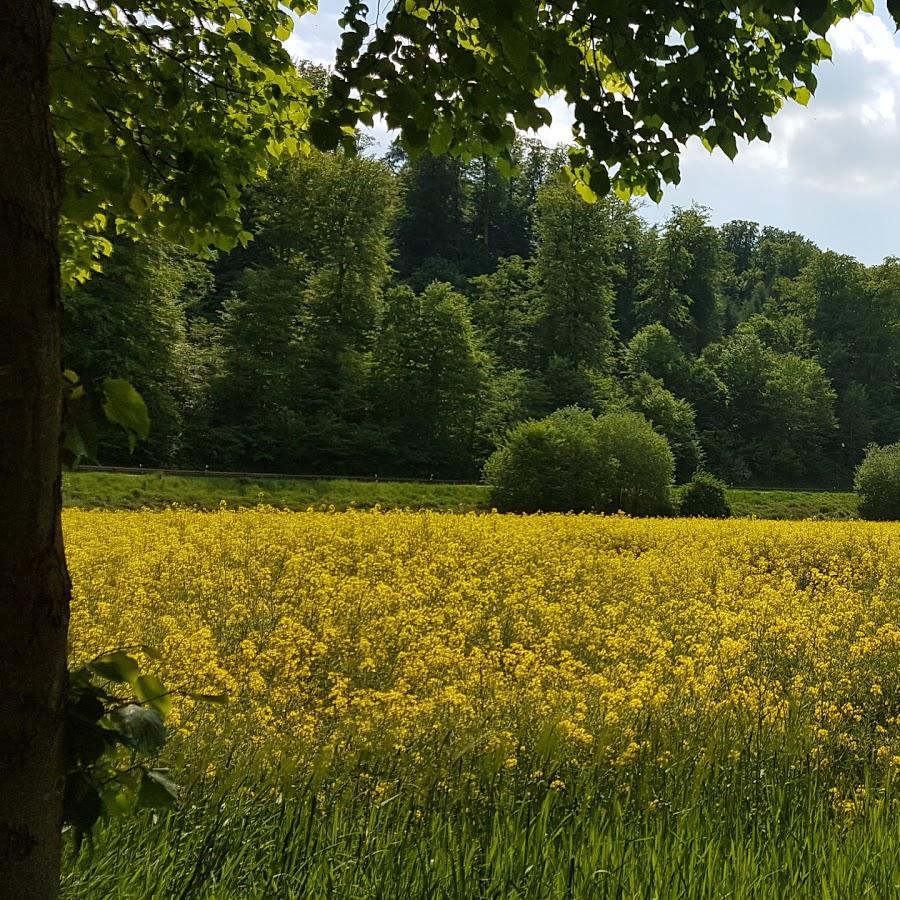 Restaurant "Ausflugs - Gaststätte Alte Burg" in Heilbad Heiligenstadt
