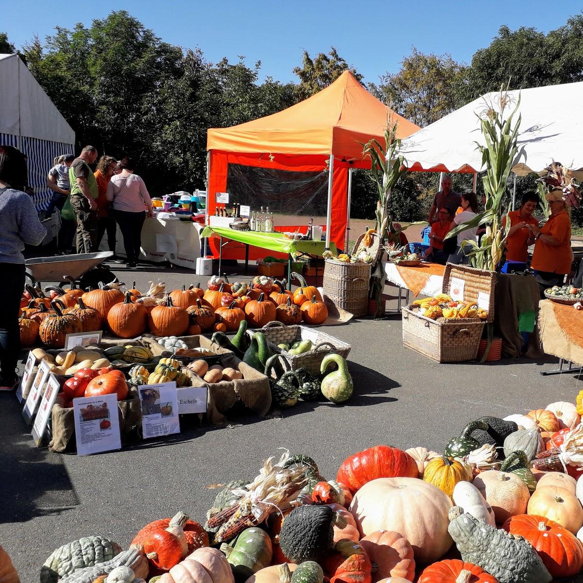 Restaurant "Gasthof Zur Linde Inh. Starke D." in Starkenberg