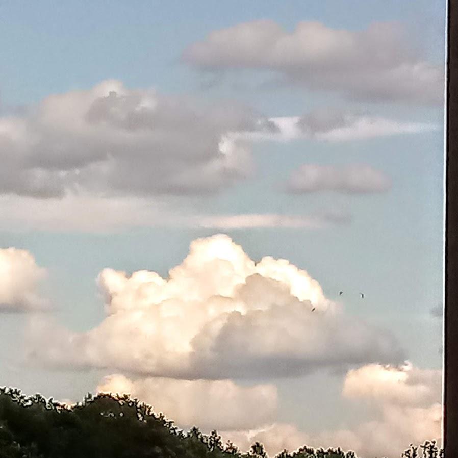 Restaurant "Haus Seeblick" in Schönau an der Brend