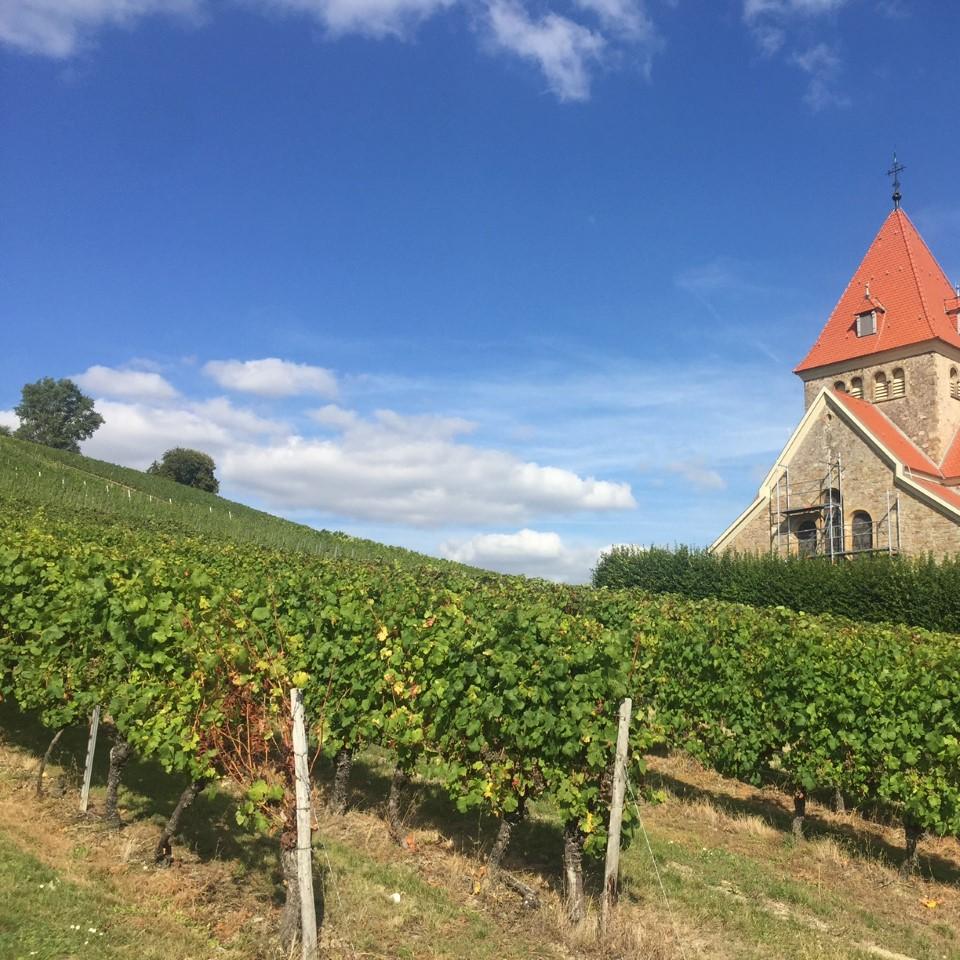 Restaurant "Hofgut Wißberg - Das Weinberghotel" in Sankt Johann