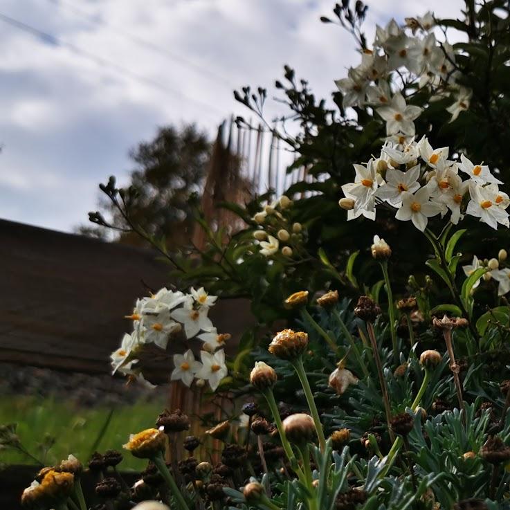 Restaurant "Firestone-Grill" in Puchheim