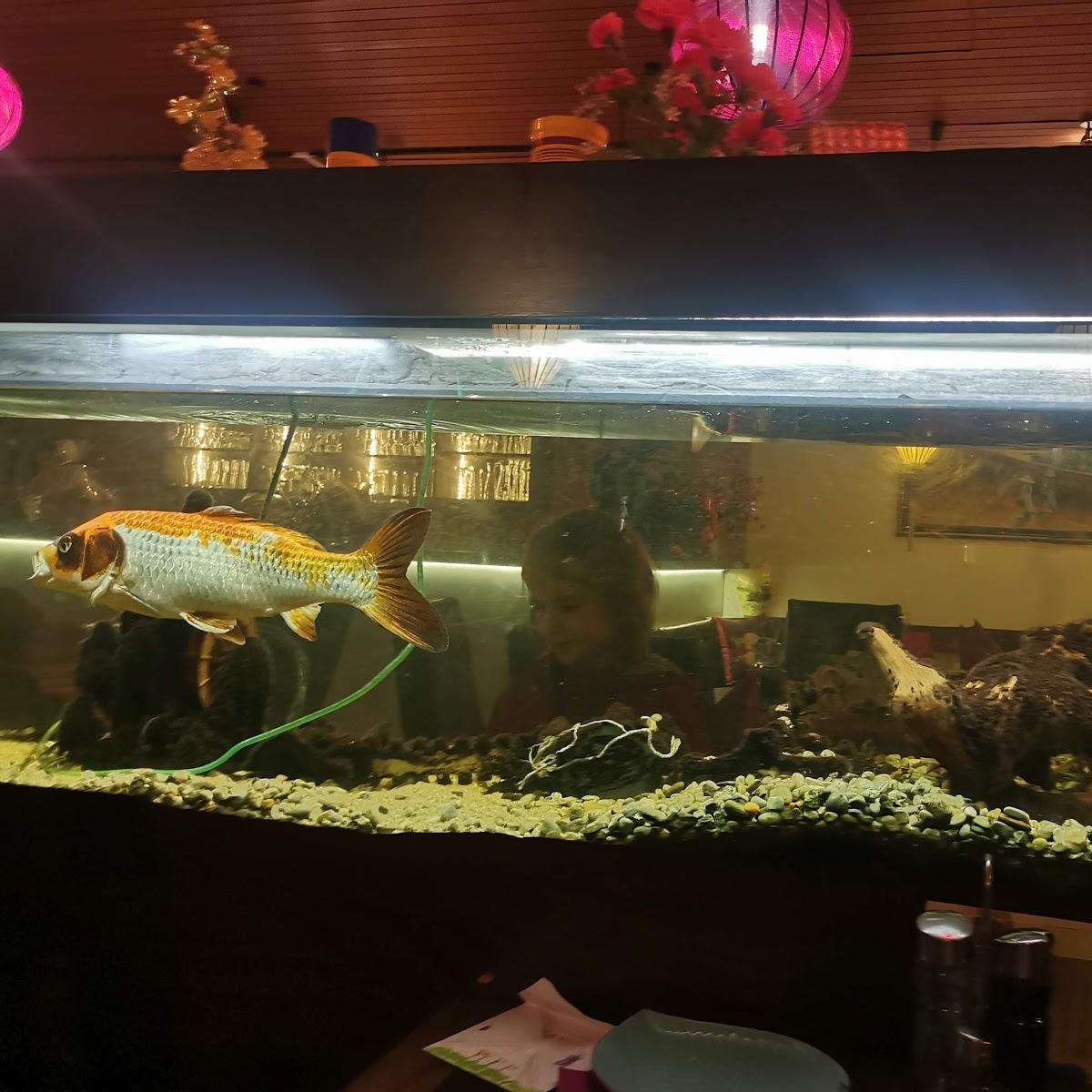 Restaurant "Ducminh Restaurant" in  Wolfratshausen