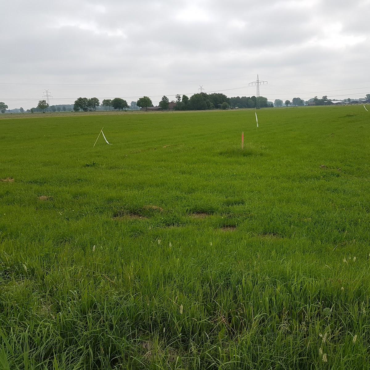 Restaurant "K" in Elsfleth