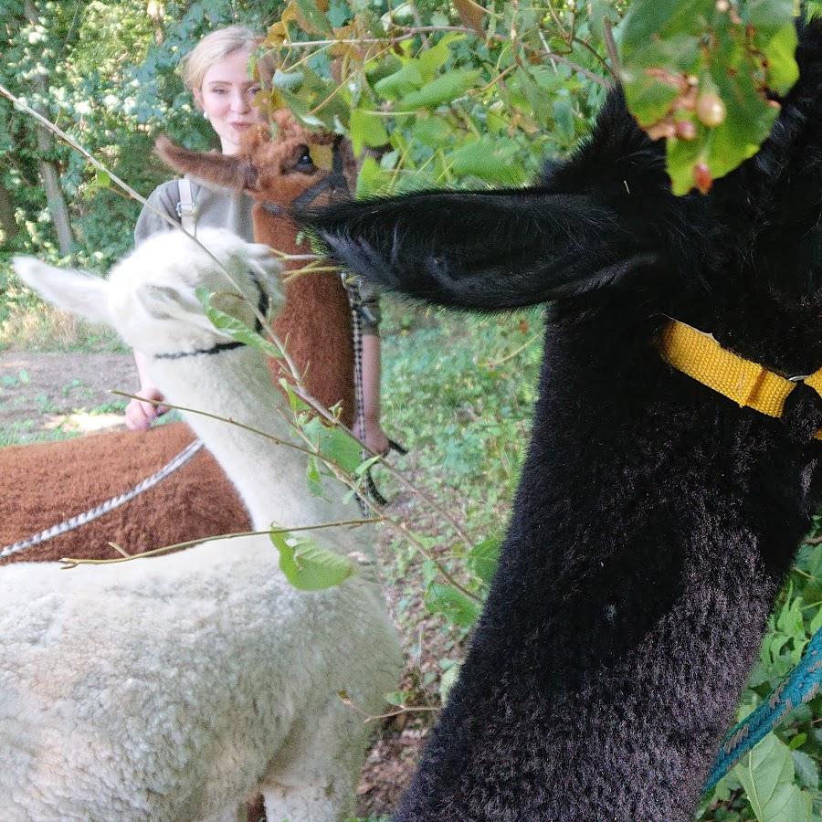 Restaurant "Birkenhof" in Bruchhausen