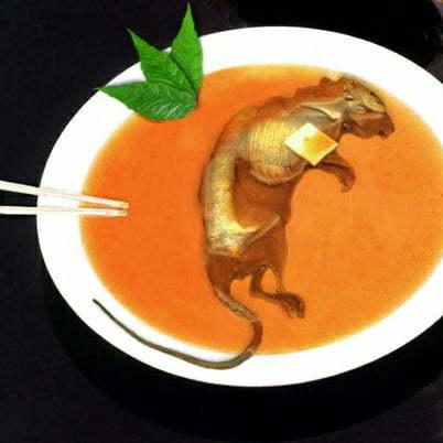 Restaurant "Elbeküche Partyservice Böhme" in Dömitz