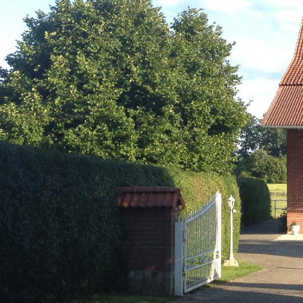 Restaurant "Rathfelder-Hof" in Hohne