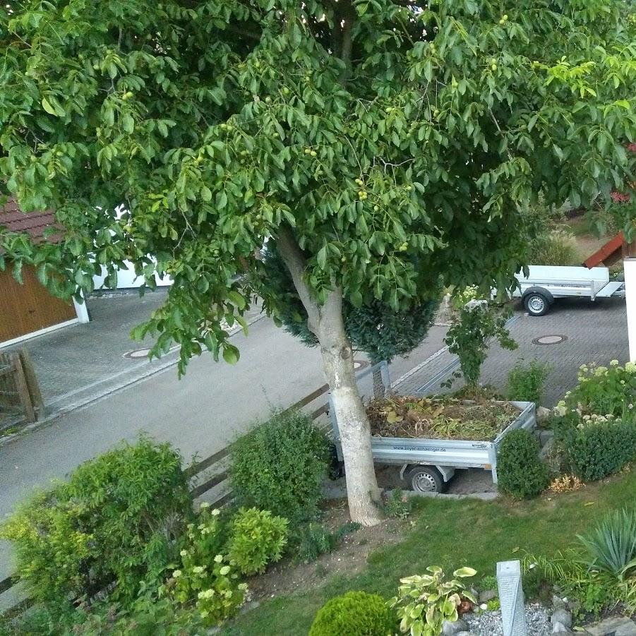 Restaurant "Straubes Ferienwohnung" in Zöschingen