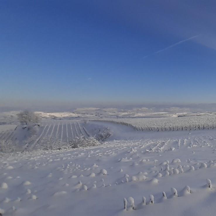 Restaurant "Reblaus" in Vogtsburg im Kaiserstuhl