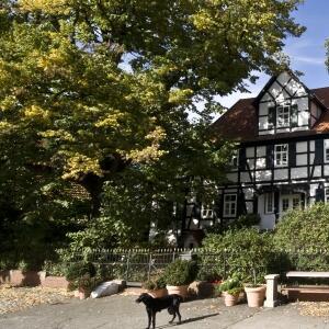 Restaurant "Gutshof Busch -" in Sarstedt