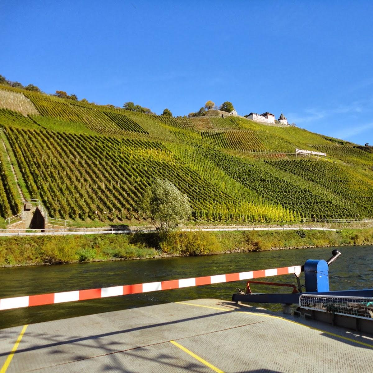 Restaurant "Weingut Lay" in Pünderich