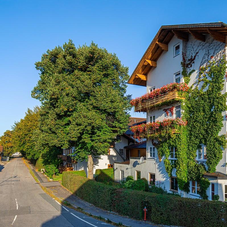 Restaurant "Hotel Zum Hirschen" in Lam