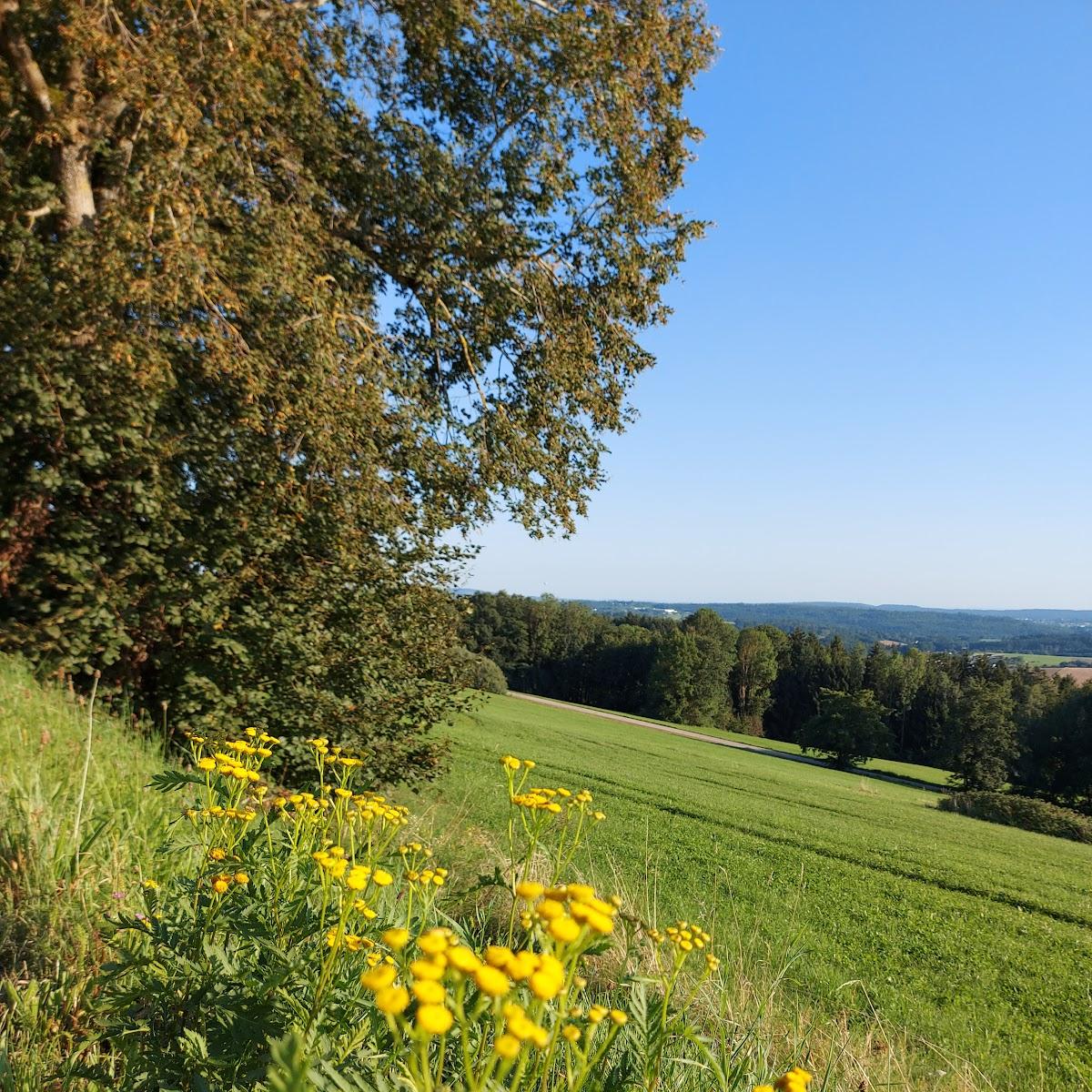 Restaurant "Gasthaus Billinger Sittenberg" in Ruderting