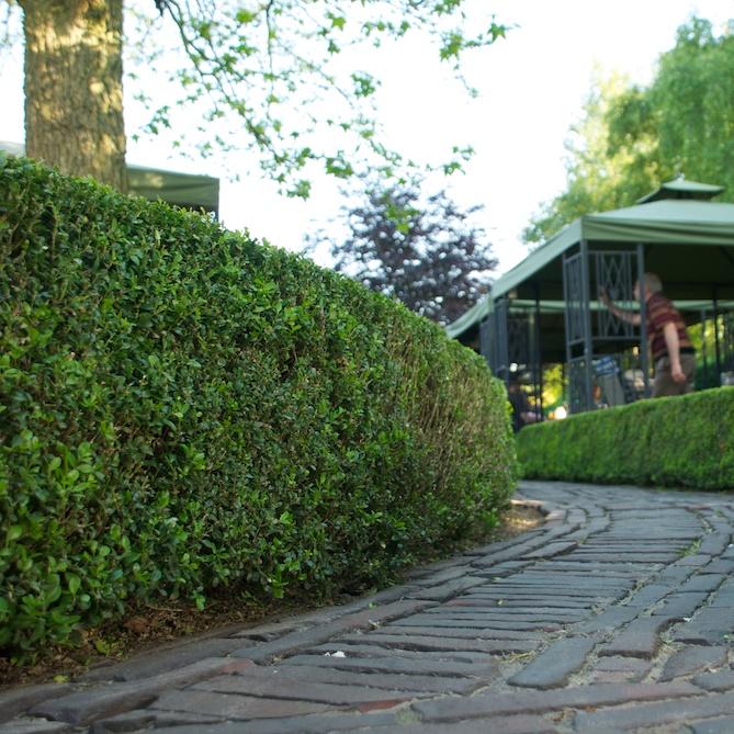 Restaurant "Hotel Restaurant Sonnenhof" in Westerstede