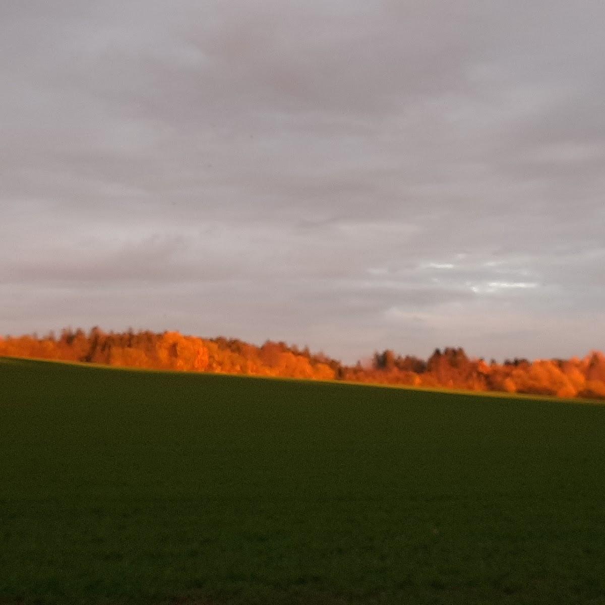 Restaurant "Ferienwohnung Edeltraut Kuhbandner" in Marktschorgast