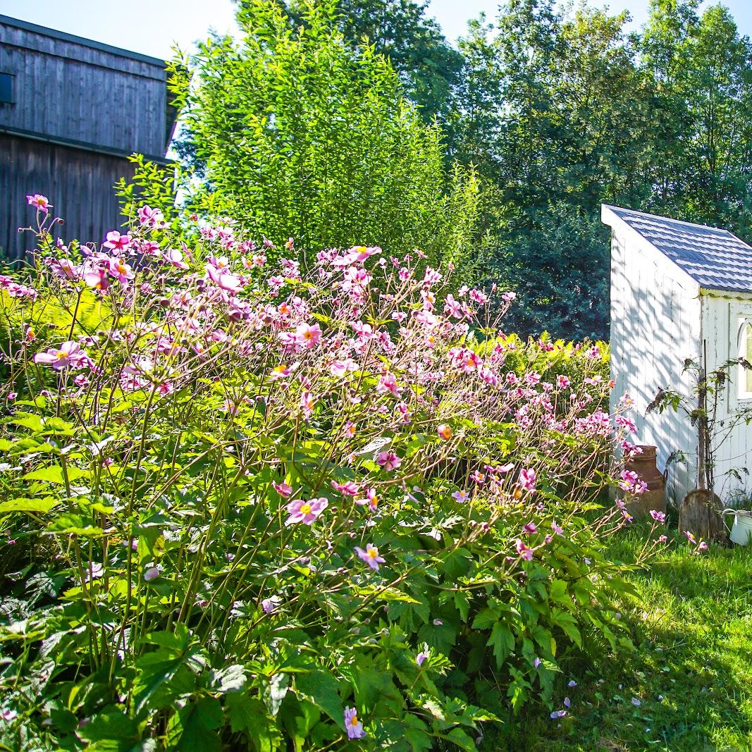 Restaurant "Gasthof  Zur Kösseine " in Nagel