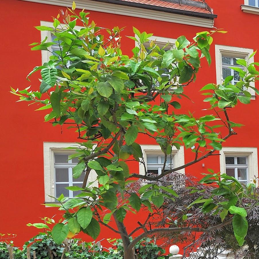 Restaurant "Schlosshotel" in Betzenstein