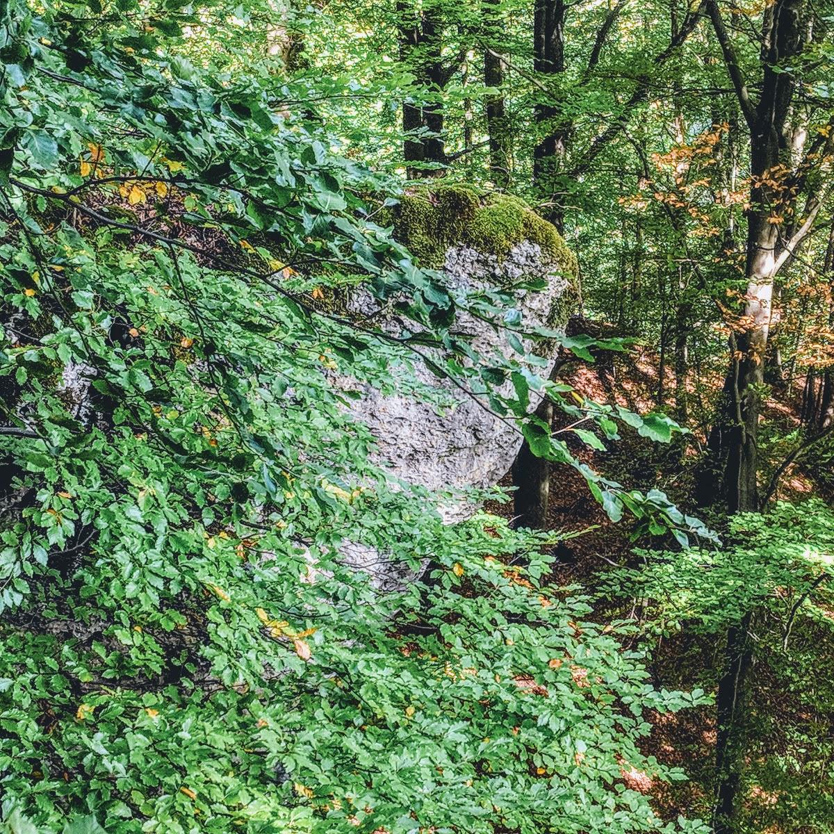 Restaurant "Evelyn Auernheimer" in Betzenstein