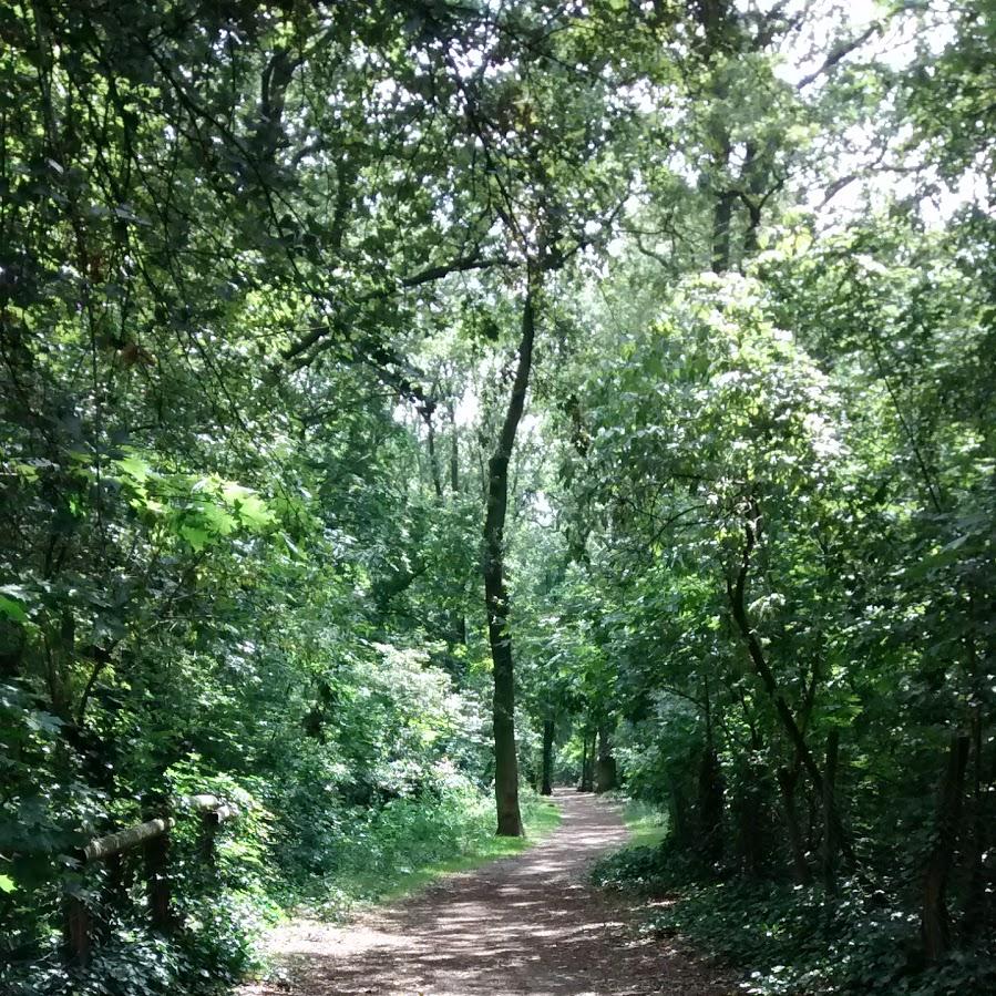 Restaurant "Gastronomie Ideal-Pavillion" in Berlin