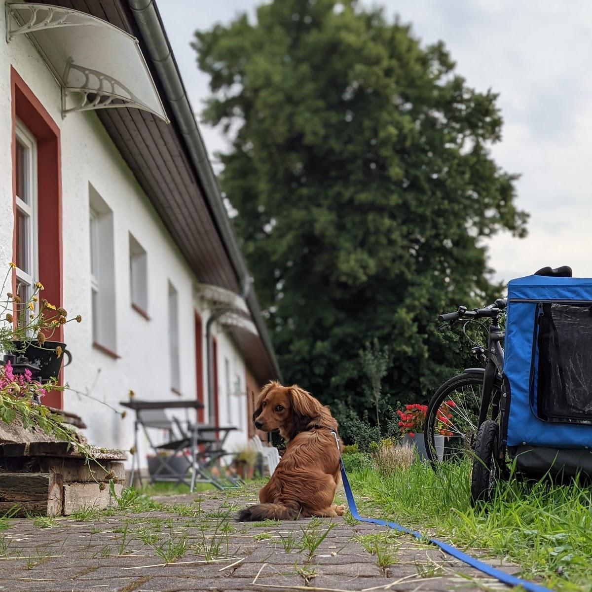 Restaurant "Krusenhof Ilona" in Amt Neuhaus