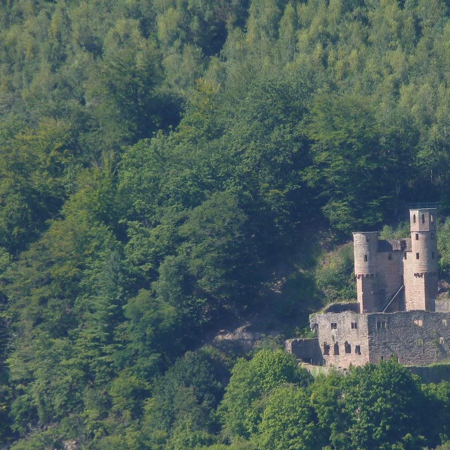 Restaurant "Mannheimer Hütte" in Neckarsteinach